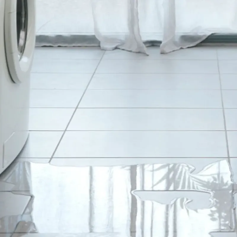 Appliance Leak Cleanup in West Miami, FL