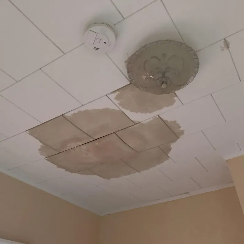 Ceiling Water Damage Repair in West Miami, FL